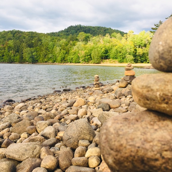 Meet your Posher, Cassidy - Picture 1 of 1